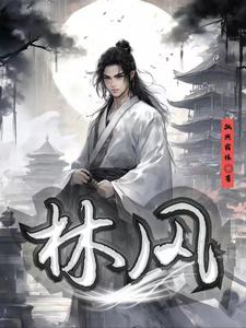 哪本小说主角叫林风